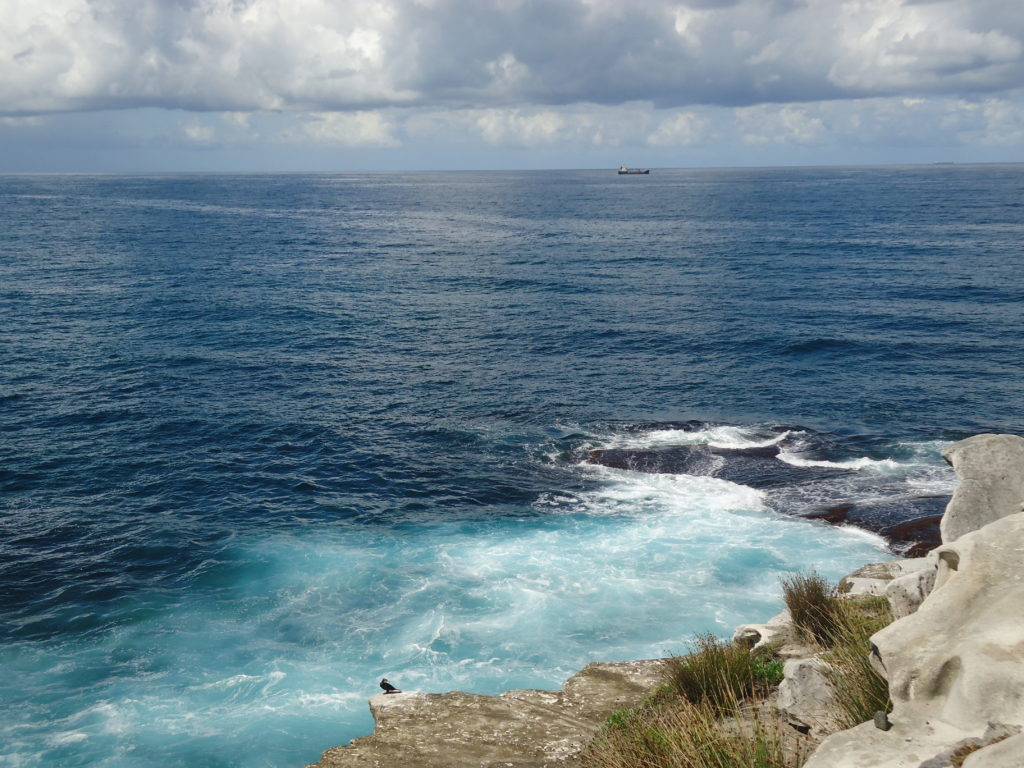 Bondi to Coogee Coastal Walk