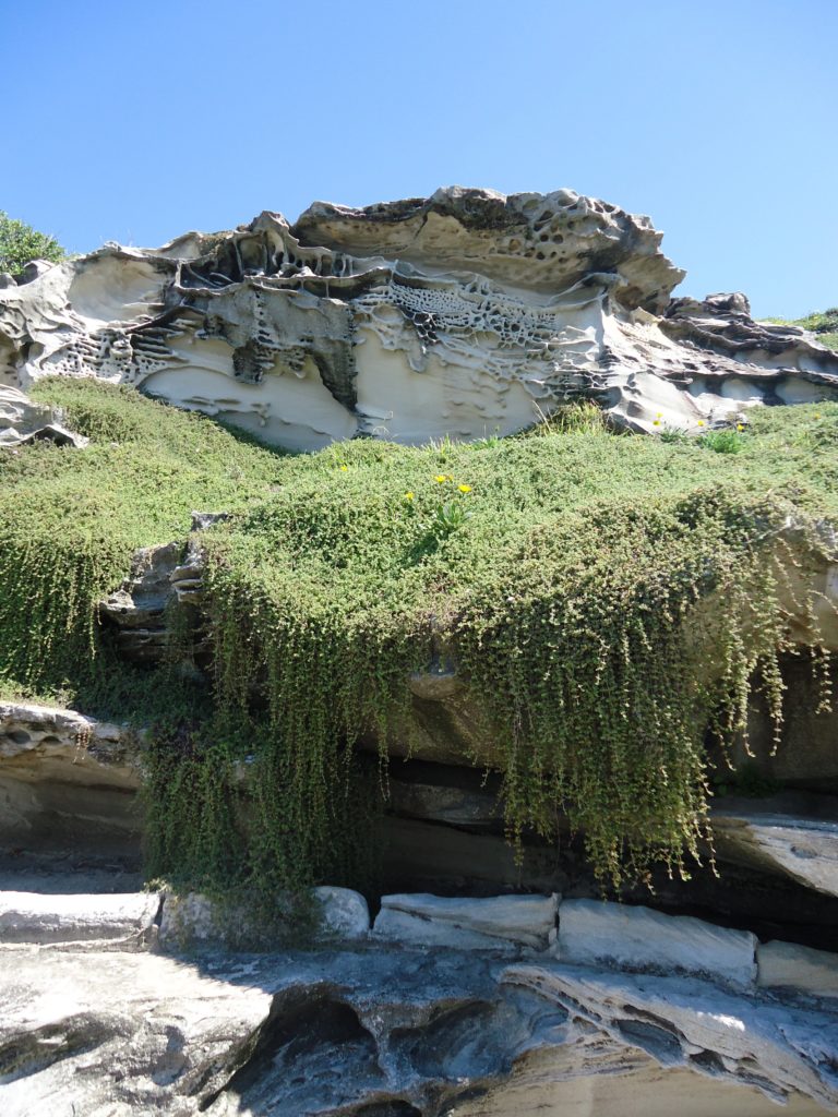 Bondi to Coogee Coastal Walk