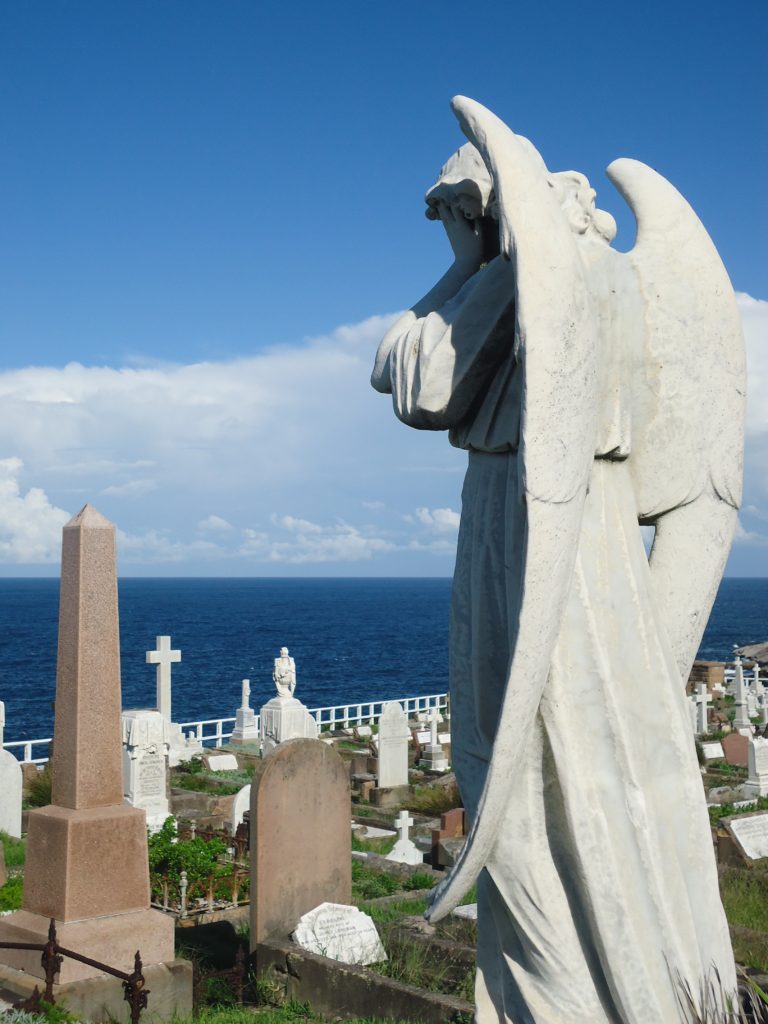 engel Waverley cemetery Bondi to Coogee Coastal Walk