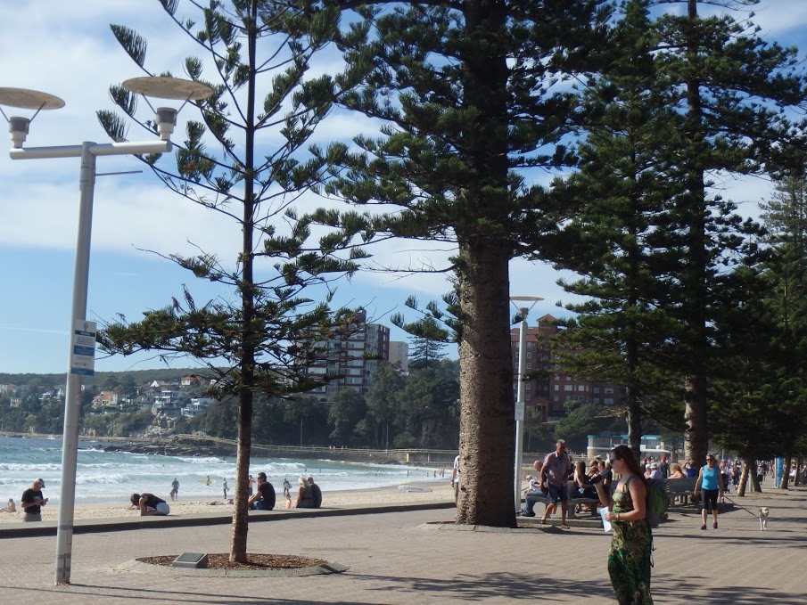 Manly promenade