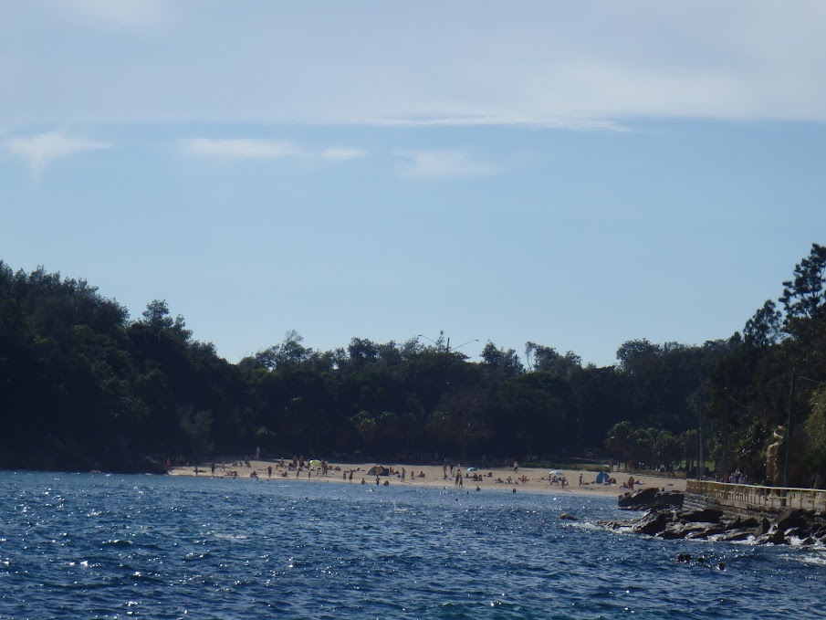 Shelley Beach in Manly