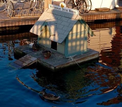Waterboat Duck House Boston