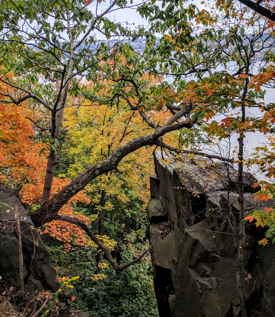 Herfst-aan-de-Hudson