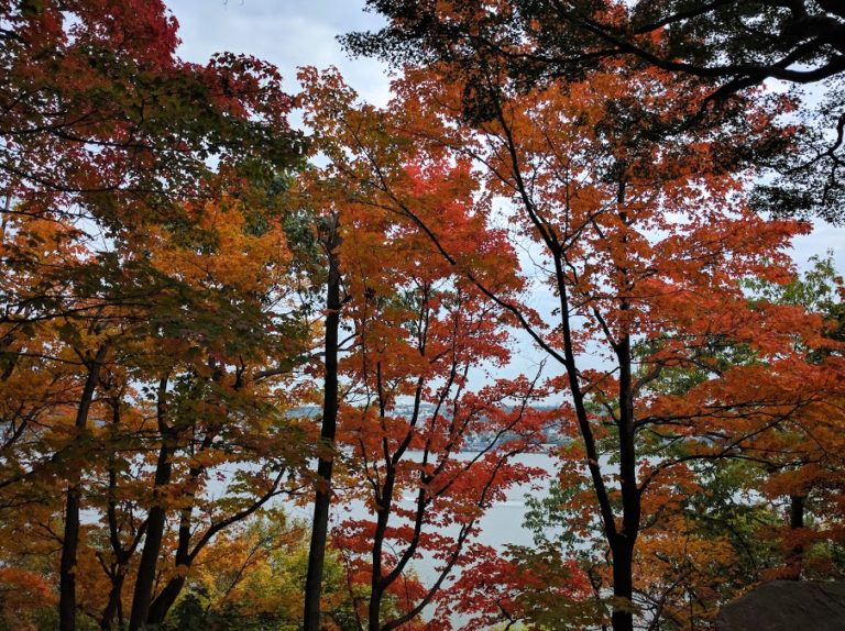 Herfst-aan-de-Hudson