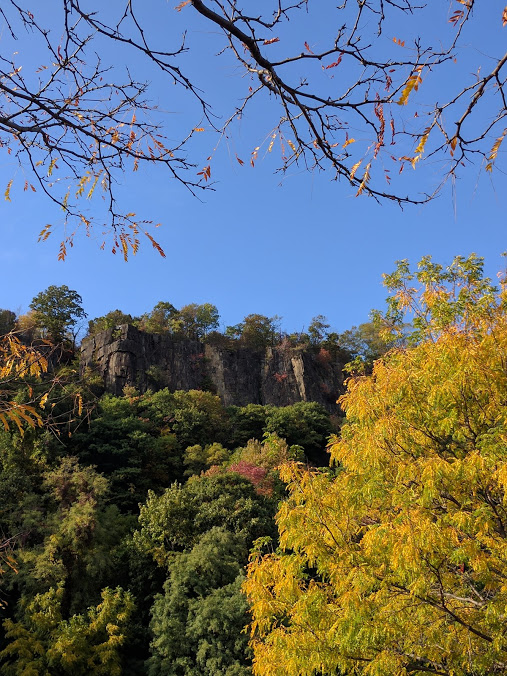 Herfst-aan-de-Hudson