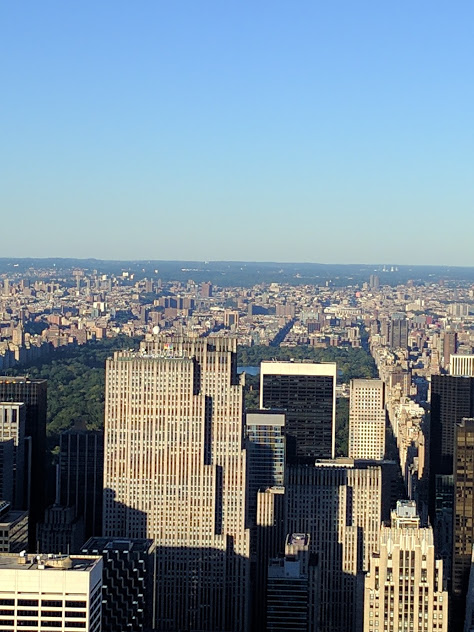 Zicht op Central Park vanuit Empire State Building