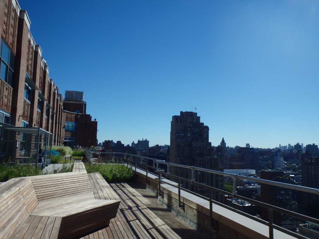 Terras Google Office NYC