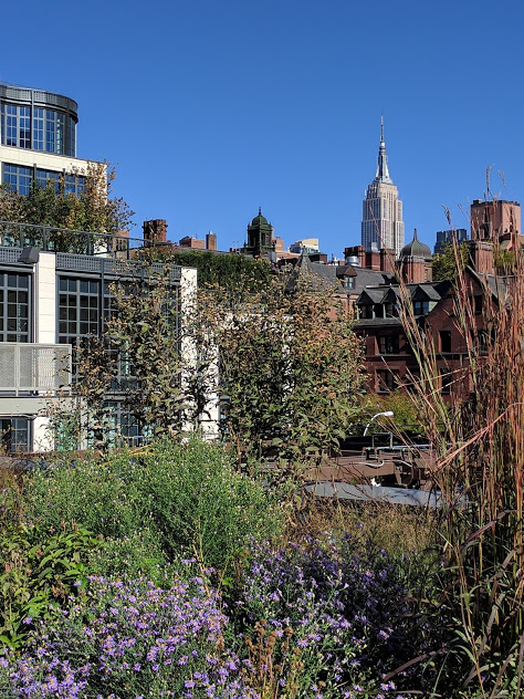 Empire State Building vanaf de High Line