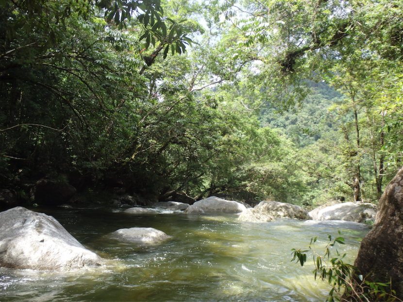 Mossman Gorge