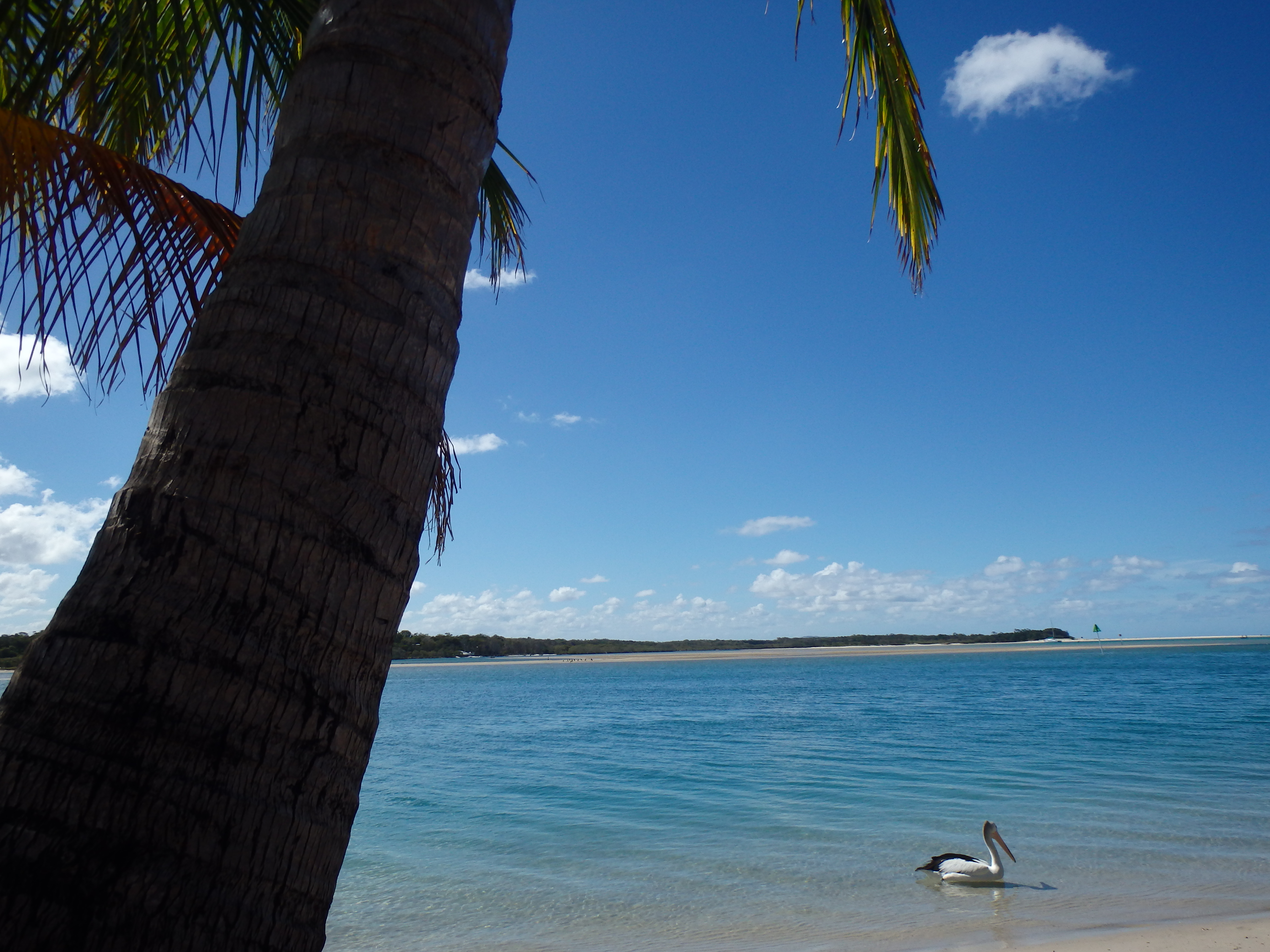 Noosa River