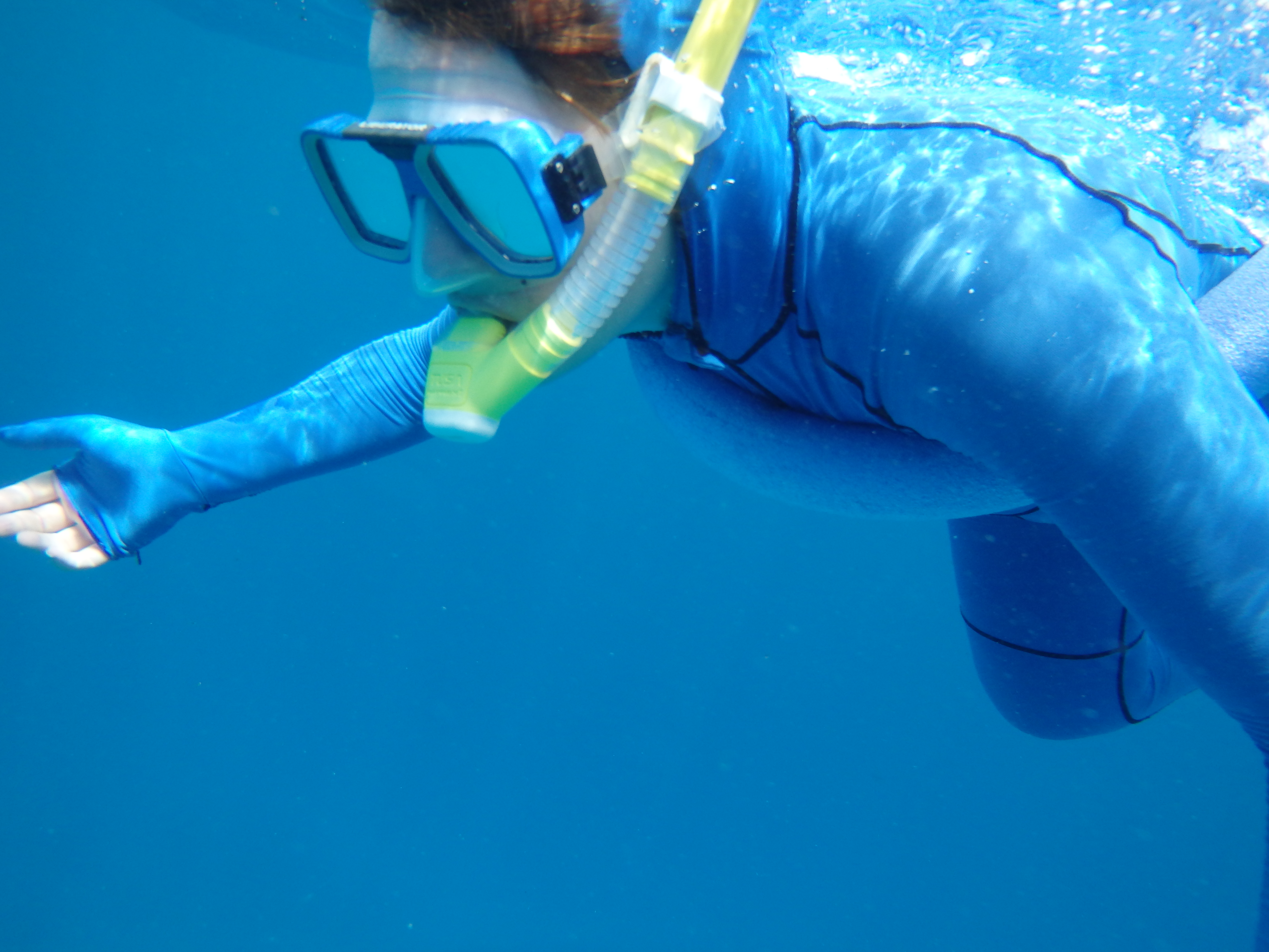 Snorkelen in het Great Barrier Reef, Australië