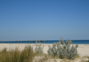 Strand en zee Adelaide, Australië