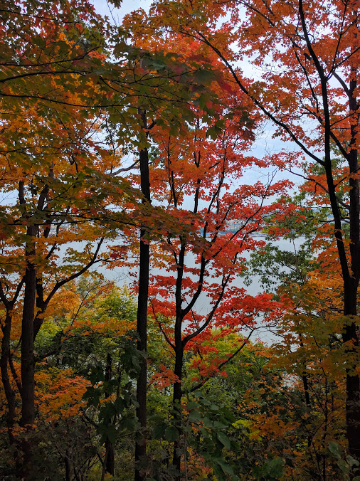 Herfstgeuren opsnuiven aan de Hudson, dit aan de kant van New Jersey, met zicht op New York. Waar? Palisades Interstate Park!