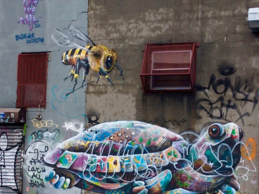 Wesp en schildpad, graffiti, Bushwick