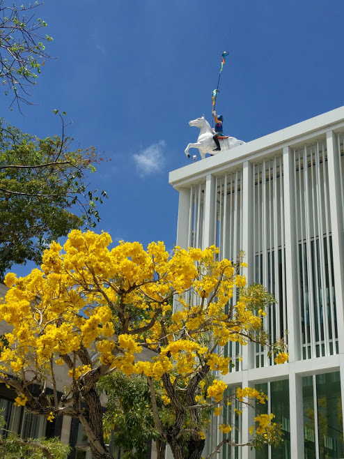 Design District Miami, ruiter te paard op dak winkel, boom met gele bloesems ervoor