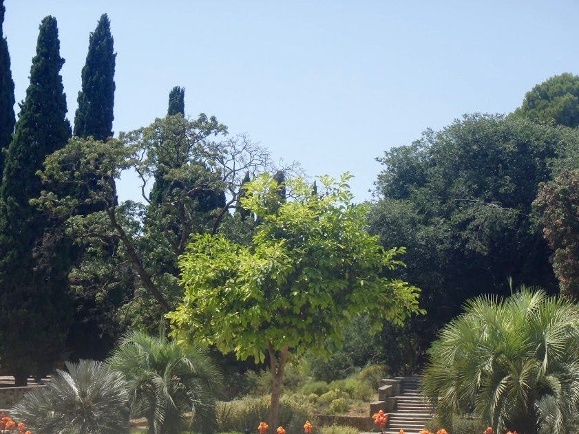 Botanische tuin Montpellier