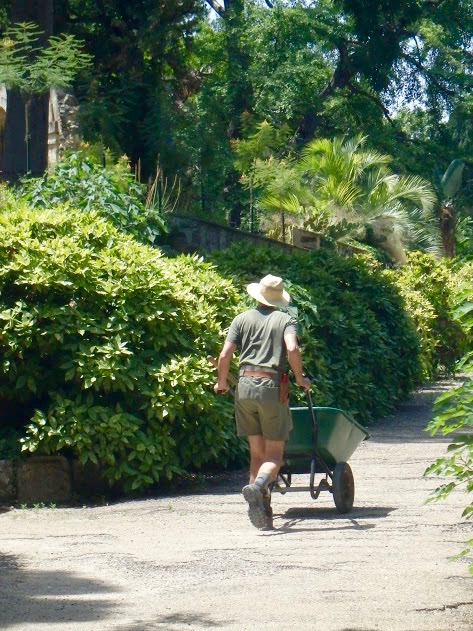 Botanische tuin Montpellier, tuinman met kruiwagen