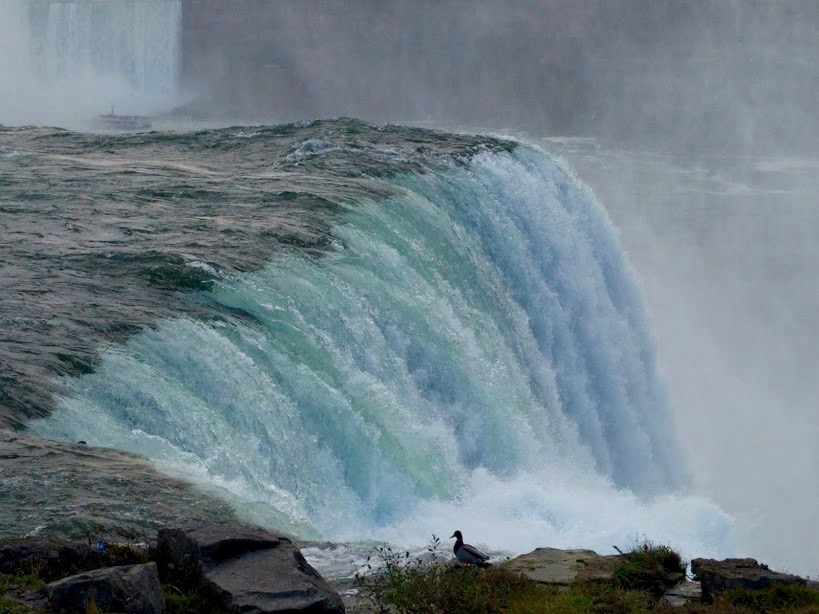 Niagara Falls met eendje