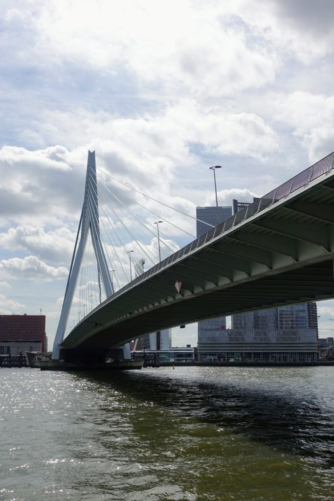 Erasmusbrug, vanuit het stadscentrum, onder de brug in Rotterdam