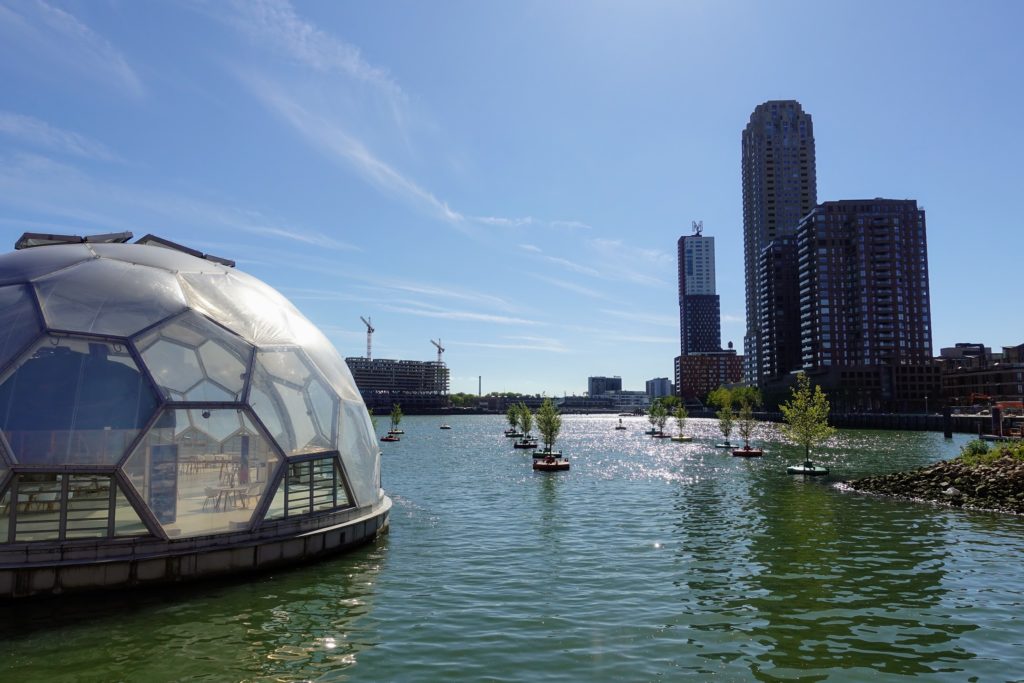 Drijvend Paviljoen in Rotterdam