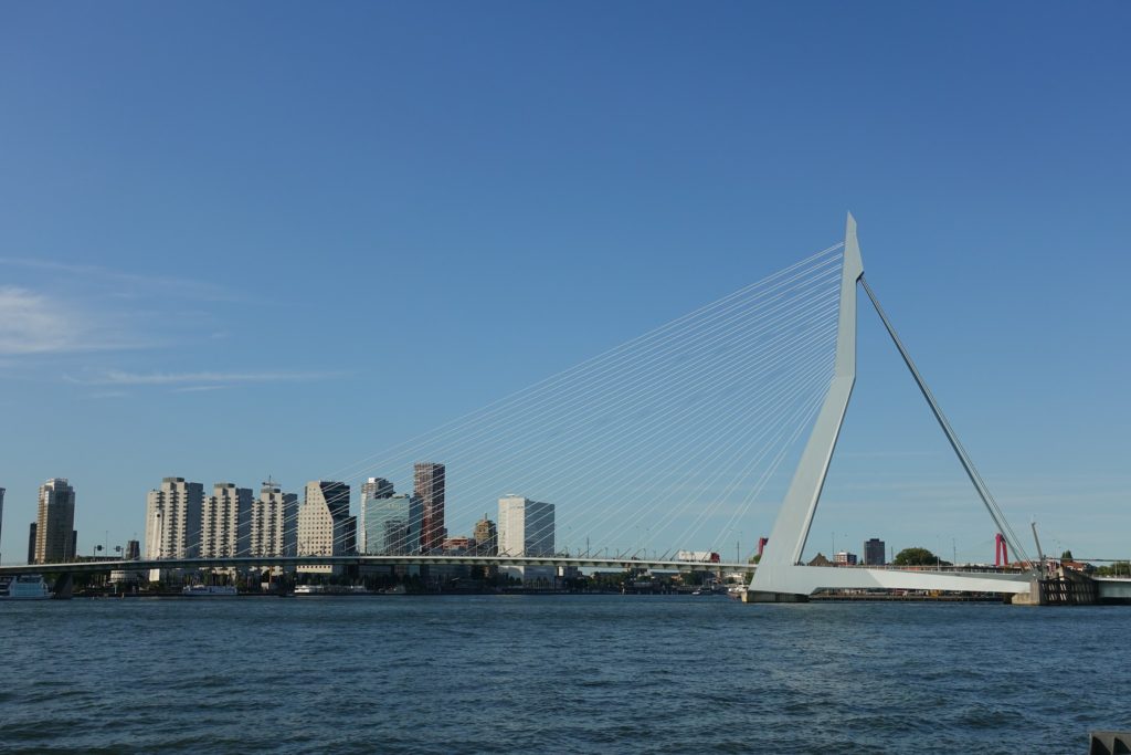 Erasmusbrug Rotterdam, gezien vanaf Wilhelminapier, Kop Van zuid