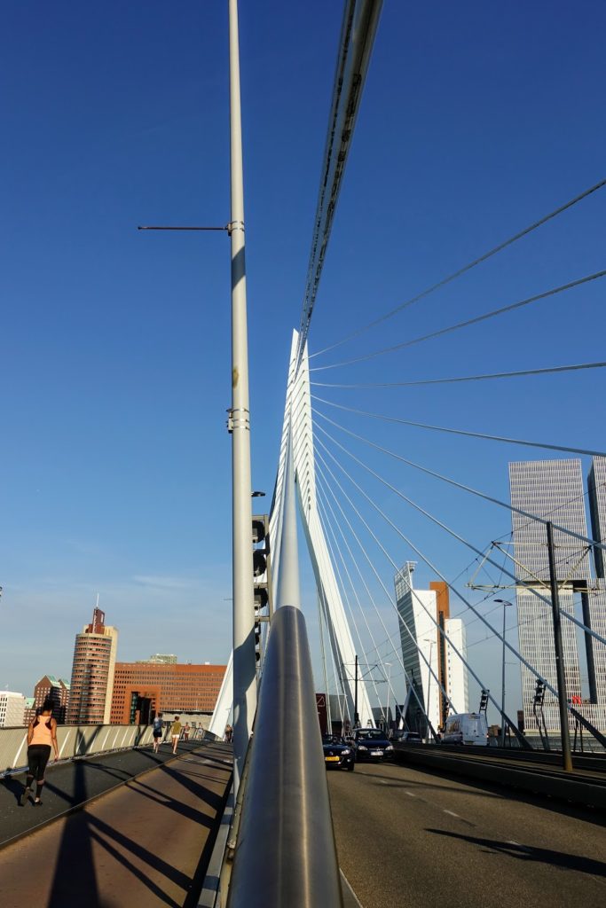 Op de Erasmusbrug, kabels naar de pyloon, Rotterdam