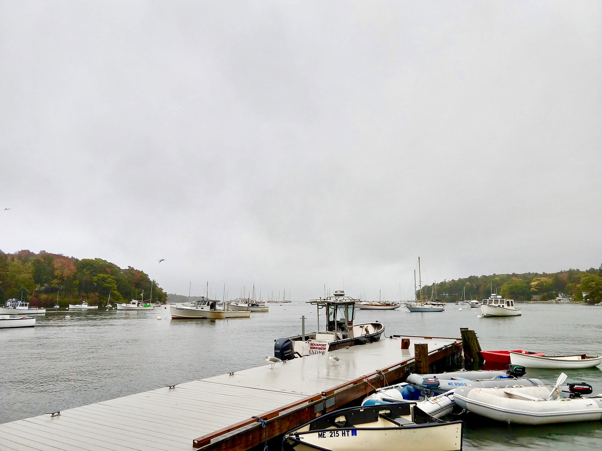 Haven in Rockport, Maine