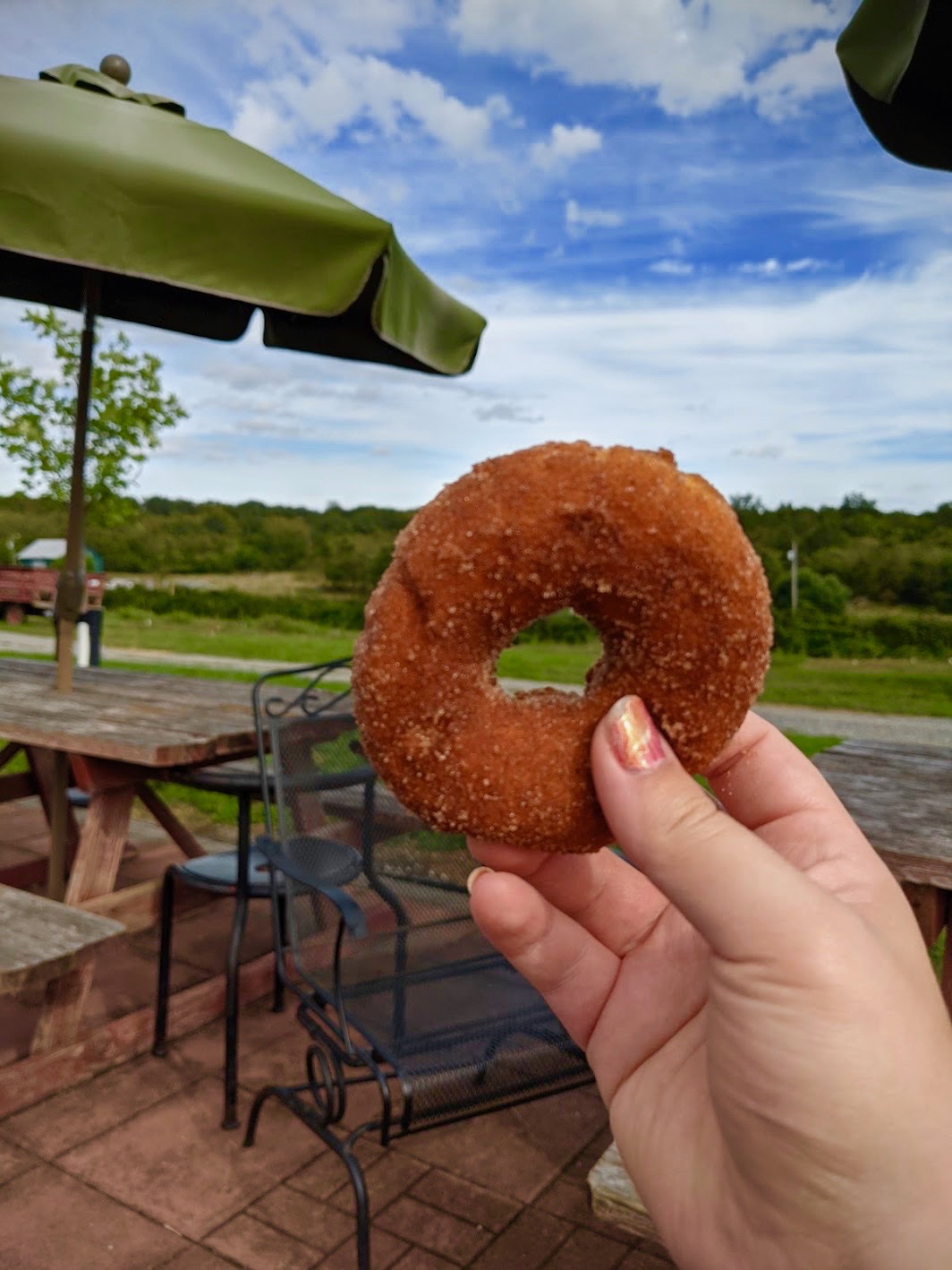 Apple cider donut in the Indian summer