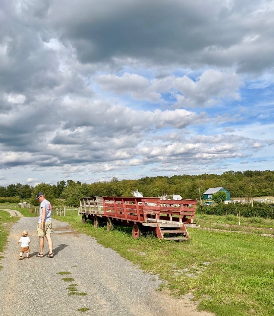 Oude kiezelweg op boerderij met oude karren