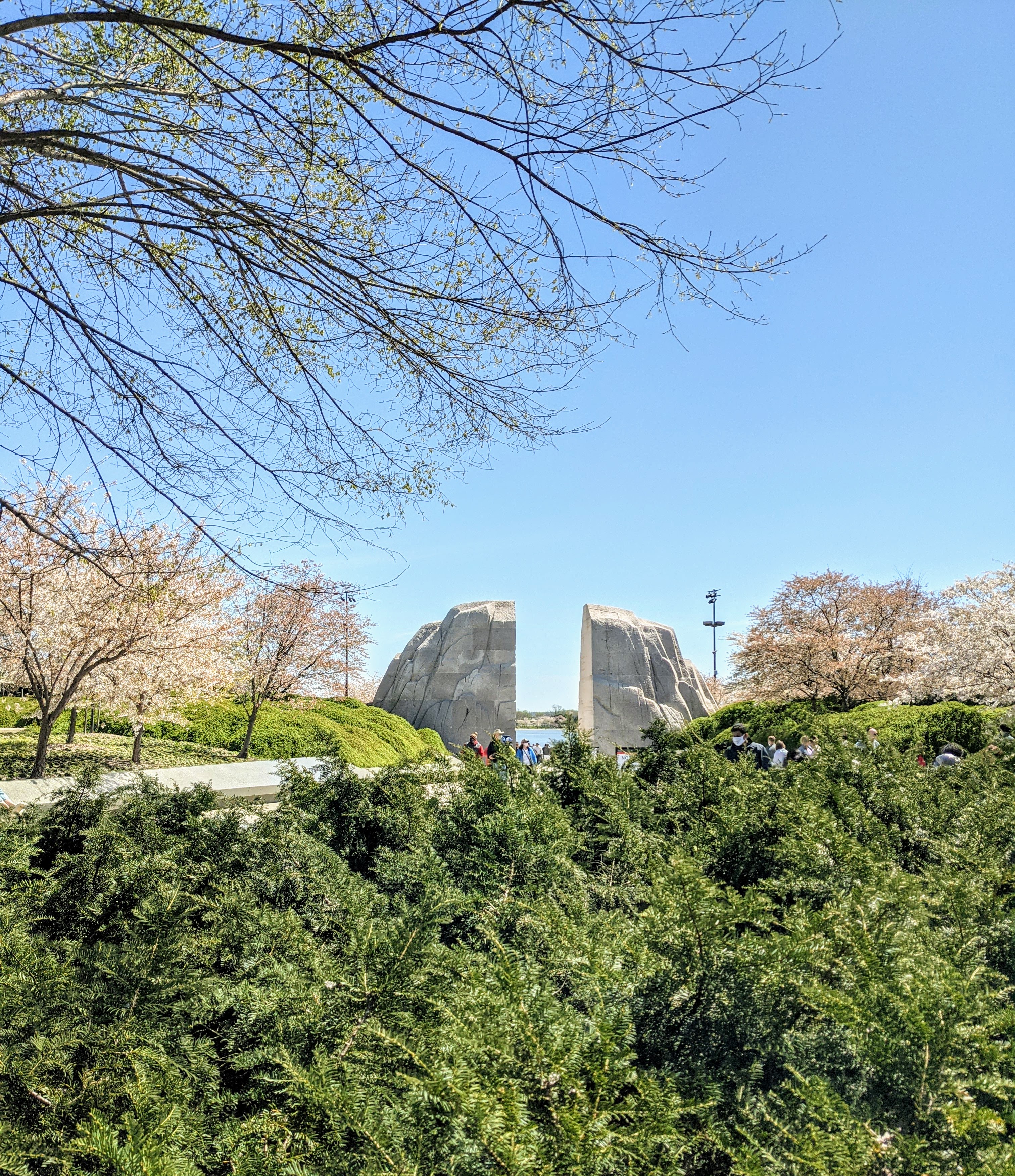 Martin Luther King Jr. Memorial in de lente