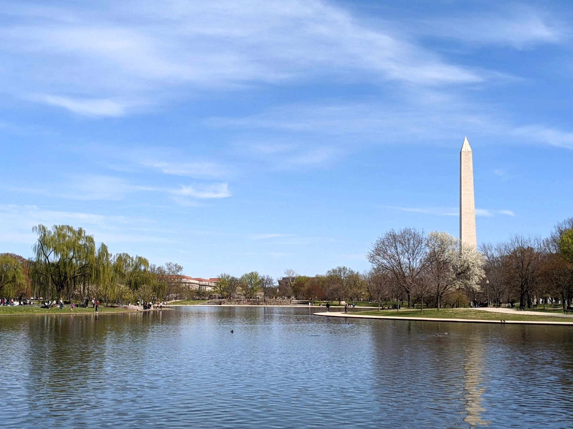 Constitution Gardens Pond in Washington D.C.