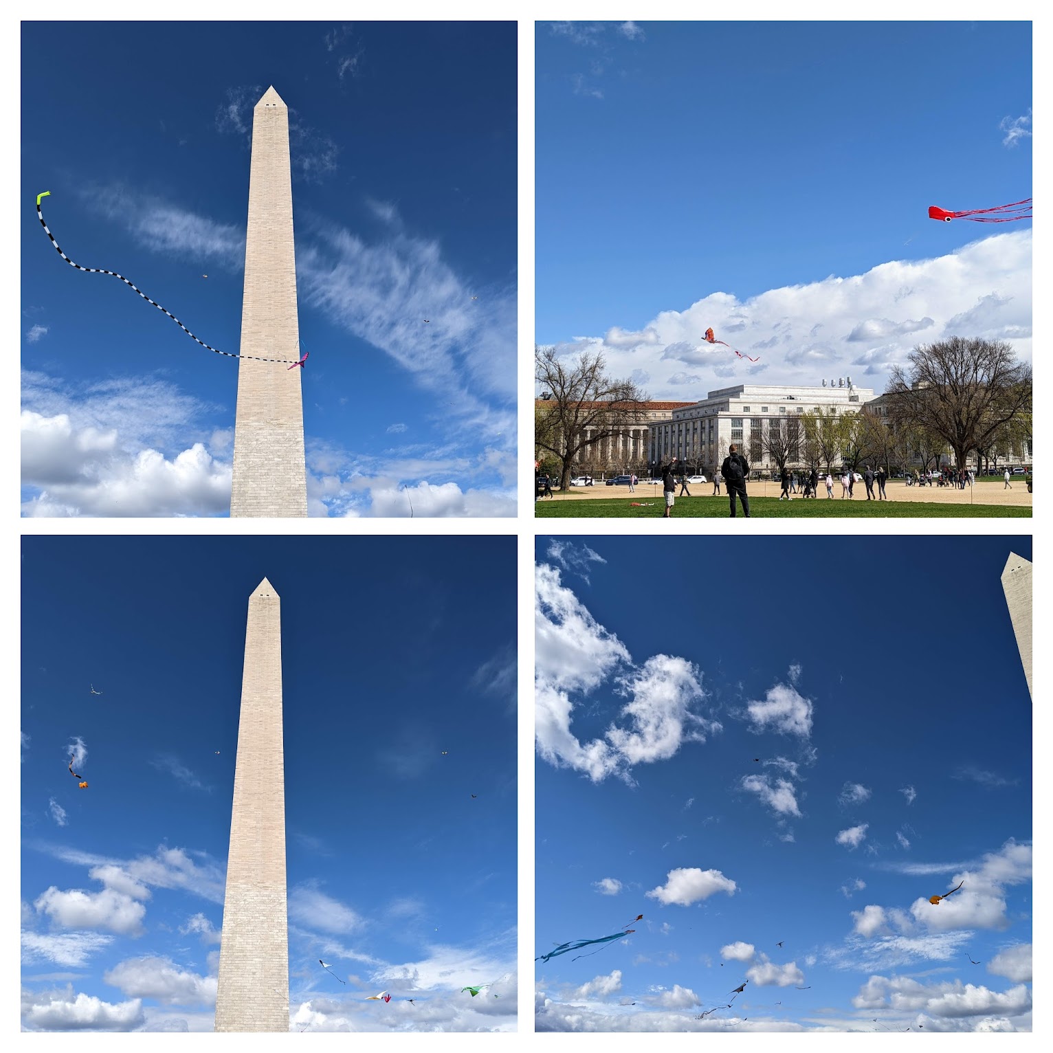 Kite Festival 2022 in Washington D.C.