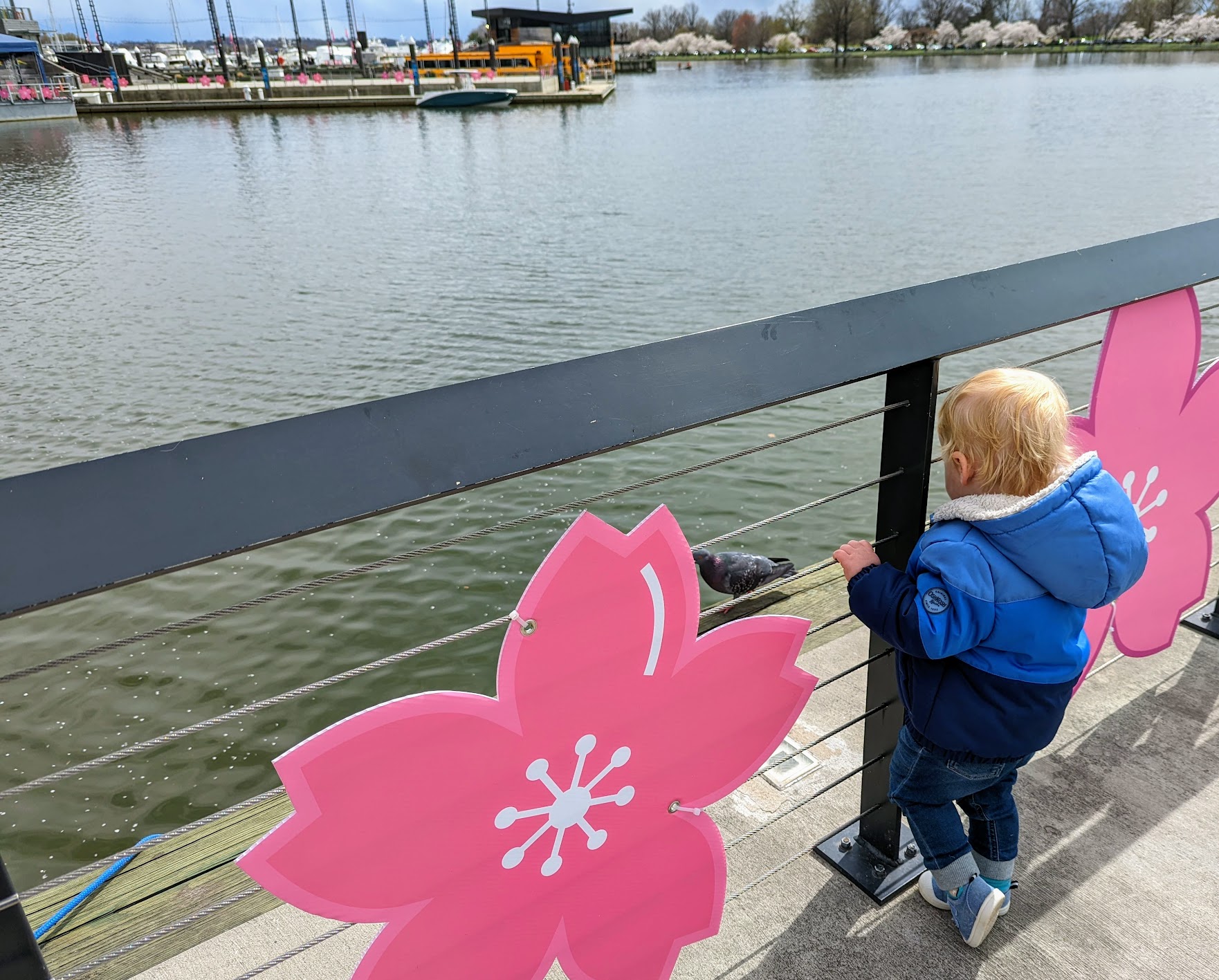 Peuter op een pier van de Wharf in Washington D.C.