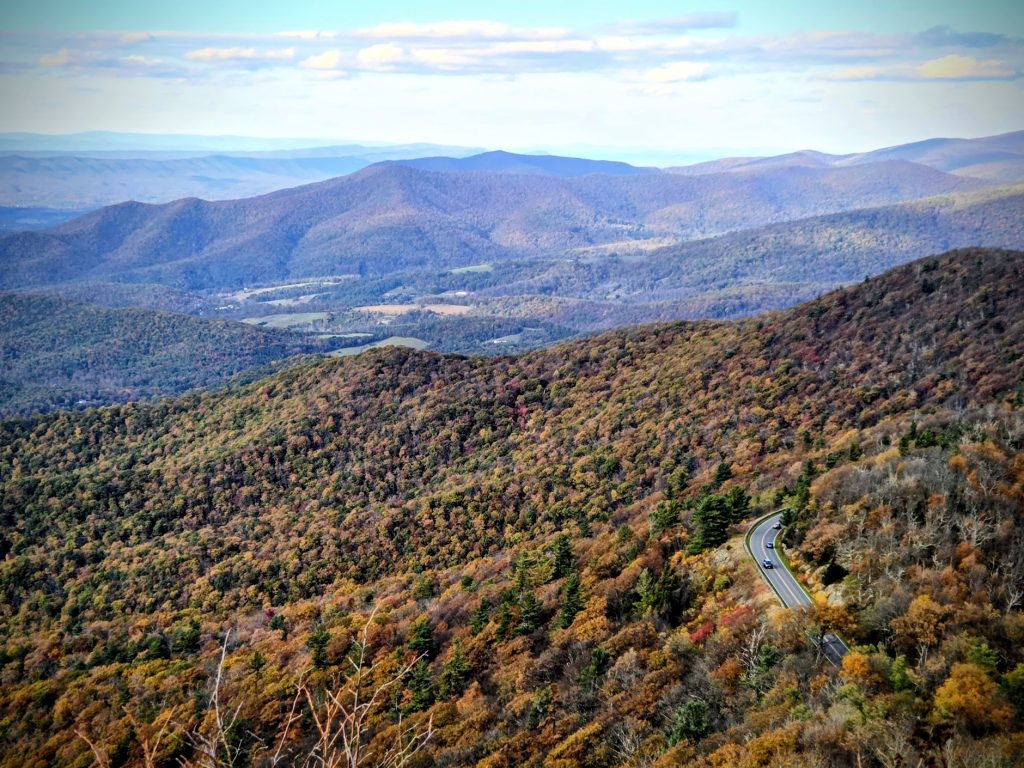 road between colorful fall trees and mountains, blue skies