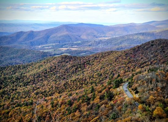 road between colorful fall trees and mountains, blue skies