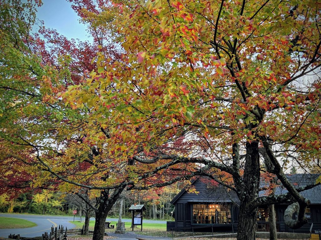 Bomen in de herfst, kleine winkel blokhut/lodge stijl