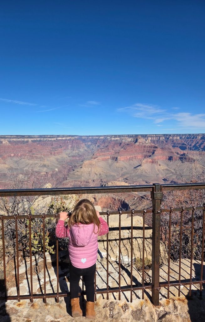 Kleuter uitkijkend over de Grand Canyon achter een hekken